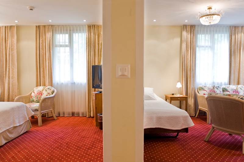 HOTEL WENGENER HOF  4 *